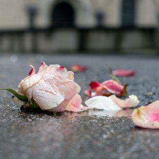 Rouw kent iedereen, op zijn eigen manier, wel